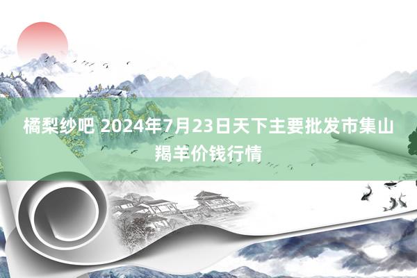 橘梨纱吧 2024年7月23日天下主要批发市集山羯羊价钱行情