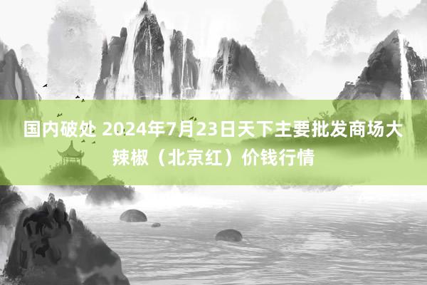 国内破处 2024年7月23日天下主要批发商场大辣椒（北京红）价钱行情