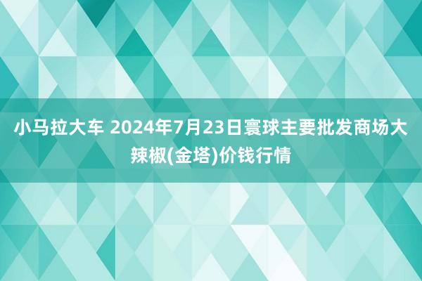 小马拉大车 2024年7月23日寰球主要批发商场大辣椒(金塔)价钱行情