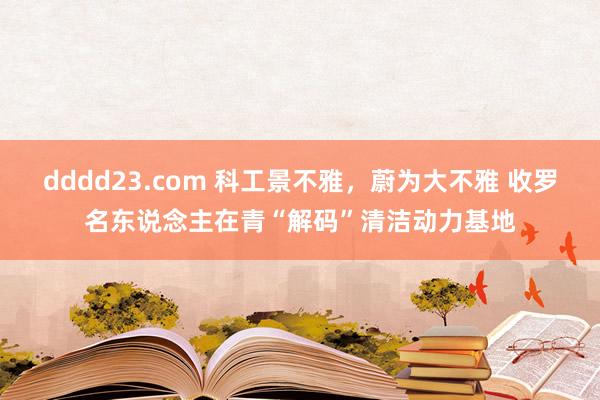 dddd23.com 科工景不雅，蔚为大不雅 收罗名东说念主在青“解码”清洁动力基地