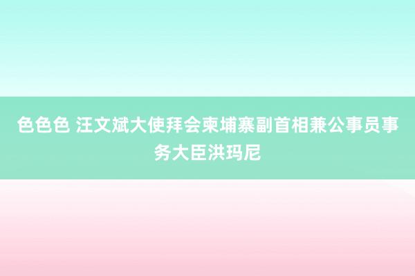 色色色 汪文斌大使拜会柬埔寨副首相兼公事员事务大臣洪玛尼