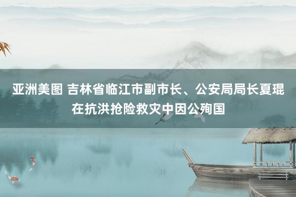 亚洲美图 吉林省临江市副市长、公安局局长夏琨在抗洪抢险救灾中因公殉国