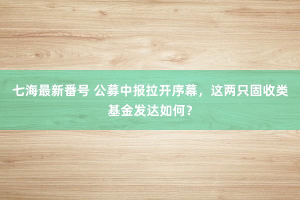 七海最新番号 公募中报拉开序幕，这两只固收类基金发达如何？