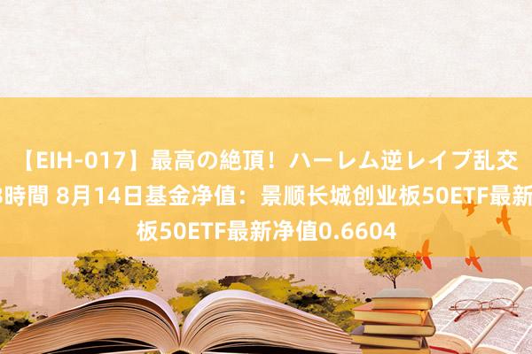 【EIH-017】最高の絶頂！ハーレム逆レイプ乱交スペシャル8時間 8月14日基金净值：景顺长城创业板50ETF最新净值0.6604