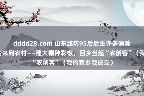 dddd28.com 山东潍坊95后后生许多消除大城市使命机会来到农村——建大棚种彩椒，回乡当起“农创客”（我的家乡我成立）