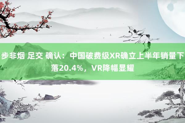 步非烟 足交 确认：中国破费级XR确立上半年销量下落20.4%，VR降幅显耀