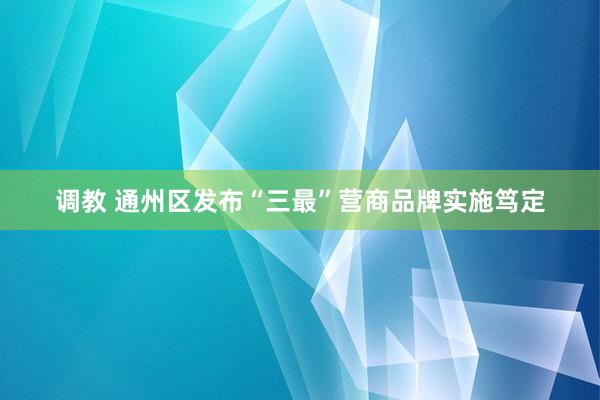 调教 通州区发布“三最”营商品牌实施笃定