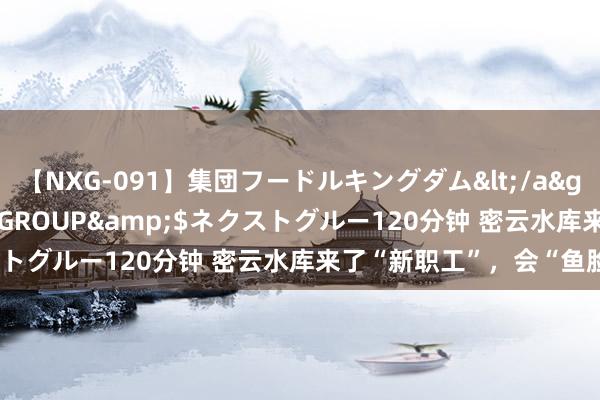 【NXG-091】集団フードルキングダム</a>2010-04-20NEXT GROUP&$ネクストグルー120分钟 密云水库来了“新职工”，会“鱼脸识别”