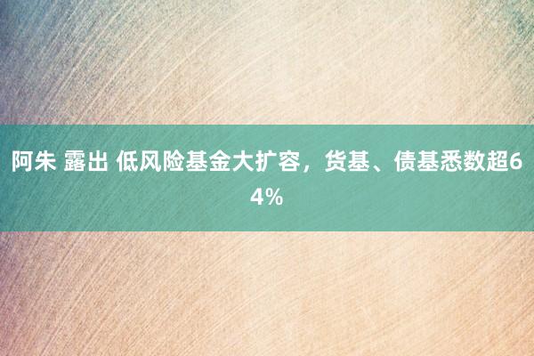 阿朱 露出 低风险基金大扩容，货基、债基悉数超64%