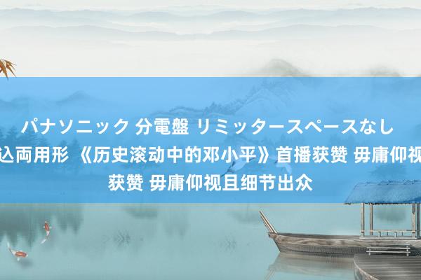 パナソニック 分電盤 リミッタースペースなし 露出・半埋込両用形 《历史滚动中的邓小平》首播获赞 毋庸仰视且细节出众