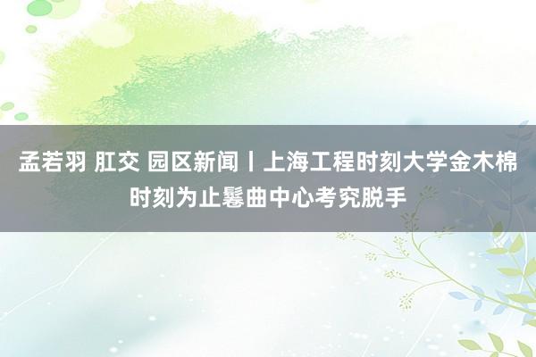 孟若羽 肛交 园区新闻丨上海工程时刻大学金木棉时刻为止鬈曲中心考究脱手